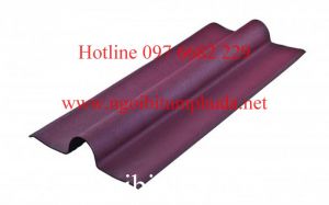 TẤM ÚP NÓC MÀU SẮC THEO TẤM LỢP