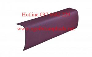 TẤM DIỀM MÁI MÀU THEO TẤM LỢP