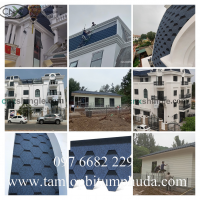 Các kiểu ngói bitum phủ đá CNX