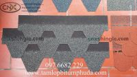 Các mẫu Ngói bitum phủ đá CNX thông dụng