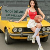 Nâng Tầm Mái Nhà Việt Với Ngói Bitum CNX Chính Hãng!