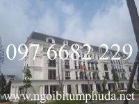 Ngói bitum phủ đá xu hướng phát triển mới