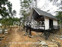 Ngói Bitum Phủ Đá - Kết Hợp Chất Lượng Tuyệt Vời và Vẻ Đẹp Tự Nhiên