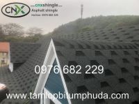 Nhà nhập khẩu ngói bitum, tấm lợp ceamboard và vật liệu chống thấm