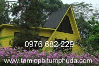 Ngói bitum - Vật liệu lợp mái lý tưởng cho nhà bungalow